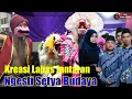 Download Lagu Kreasi Labas Janturan NGESTI SETYA BUDAYA Live Silangit Wanadri  Banjarnegara