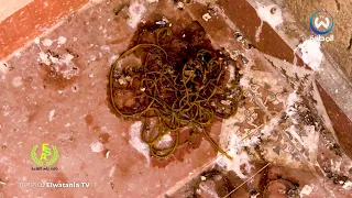 مركز الردم التقني بقورصو..المواطنون يشتكون من الروائح الكريهة والأخطار الصحية