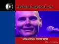Smashing Pumpkins : Bullet with butterfly wings