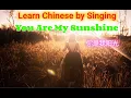 Download Lagu You Are My Sunshine,Chinese version,你是我阳光adult edition,Learn Chinese by Singing
