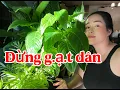 Download Lagu TD3TV2 đang phát trực tiếp!