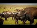 A Wyoming Welcome Campbell County