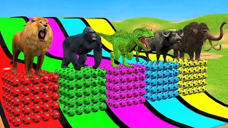 Long Slide Game With Elephant Gorilla Buffalo Hippopotamus Tiger 3d Animal Game Funny 3d Animals