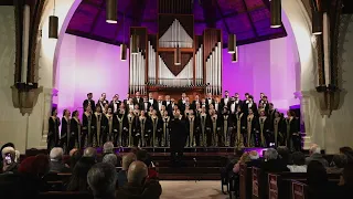 Zahrat Al Madaen زهرة المدائن 