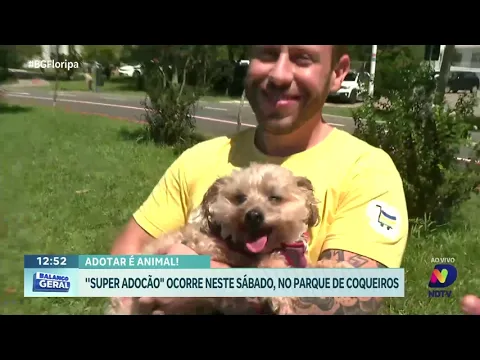 "Super Adocão": Evento de adoção de animais ocorre neste sábado em Coqueiros
