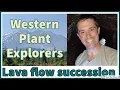 Mt St Helens - Lava flow and primary succession