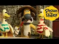Lagu Shaun the Sheep 🐑 Zebra Birds - Cartoons for Kids 🐑 Full Episodes Compilation [1 hour]