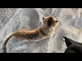 Bir günde Antalya Plajları/Antalya piyazı/Sokak lezzetleri #antalya #plaj