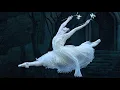 Download Lagu Amazing New 2022 Giselle Natalia Osipova \u0026 Daniel Camargo