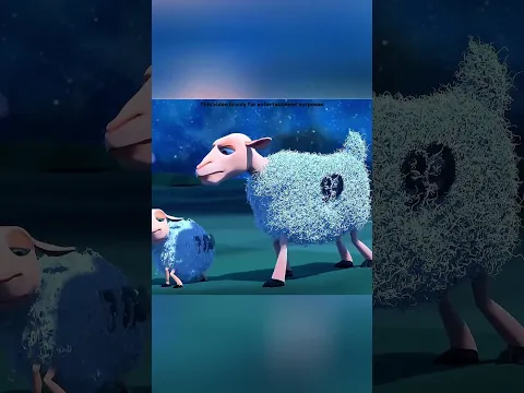 Shiro Quería Ser la Primera… ¡Pero Su Plan Terminó en Decepción! 😂🐑