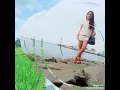 Download Lagu LILIN-LILIN PUTIH, SMULE, COVER BY WULAN.