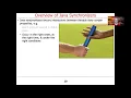 Overview of Java Synchronizers