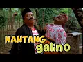 Lagu NANTANG GALINO ‼️ WOKO CHANNEL TERBARU