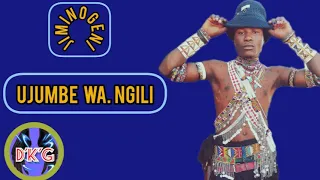 JIMINOGENI DOTO AWAJIBU WASANII OFFICIAL AUDIO MSAMBAZAJI DOTO NKUBHA GASHI 2025 