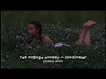 Download Lagu rex orange county - sunflower (slowed down)༄