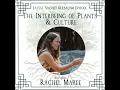 166 The Interbeing of Plants and Culture Rachel Maree on Sacred Herbalism