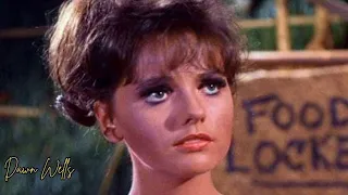 Dawn Wells Rare Vintage Photos Fans Still Enjoy Today