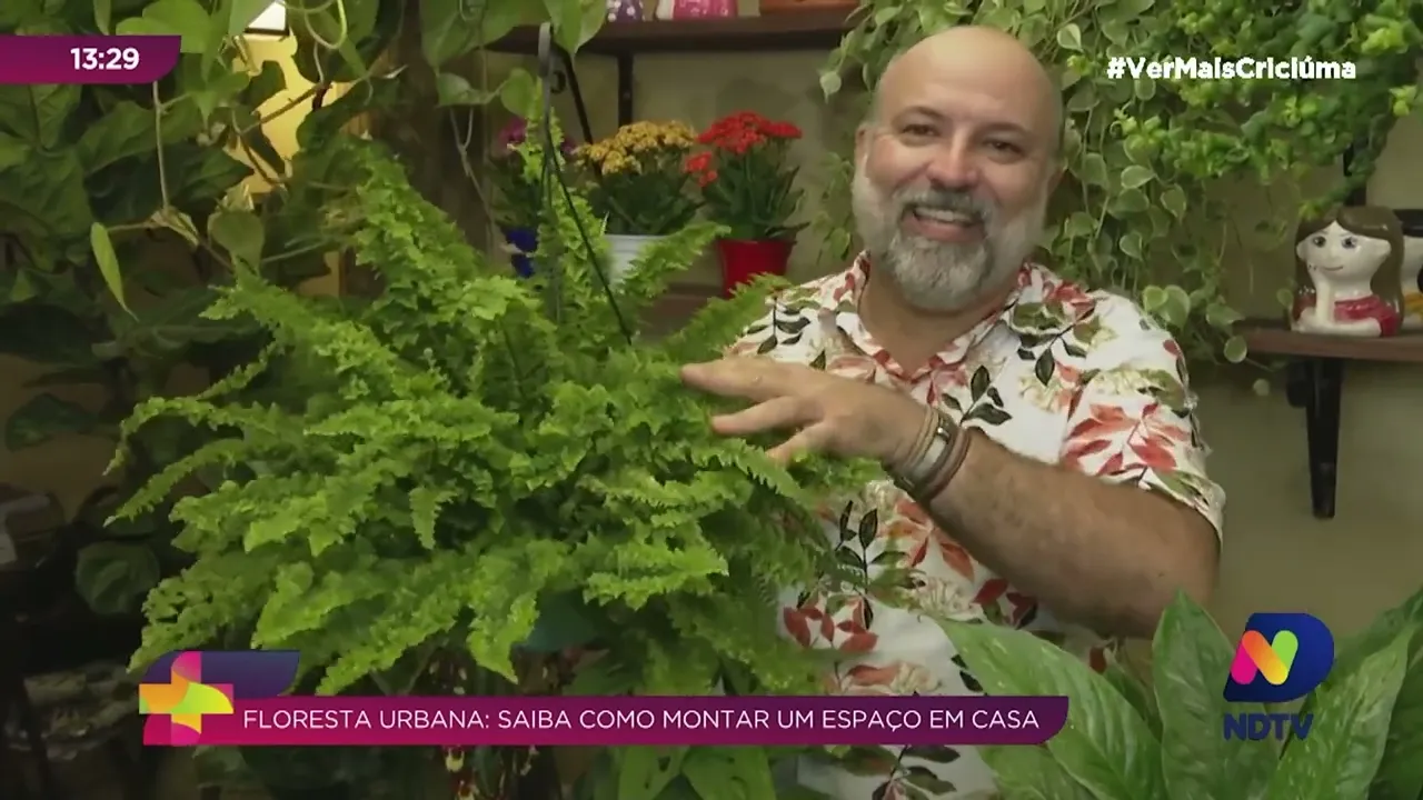 Decoração que aposta muito nas plantas ganha cada vez mais interessados