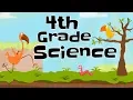 4th Grade Science Compilation