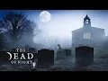 Download Lagu Spooky Churchyard Ambience ⚰️👻 | Church Bells, Owl, Eerie Wind Sound for Sleep, Study, Relaxation