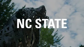 The Nature of the Wolfpack
