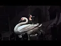 楊千嬅 — 《白天鵝》  Live MY Live 香港演唱會（30/11/2025）