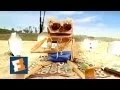 Sunburn - Fandango Bag Puppet 2011
