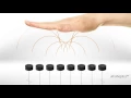 What is Haptics Touchable Haptic Technology