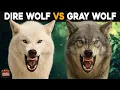 What Is The Difference Between Dire Wolf And Gray Wolf