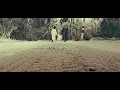 يا طريق يا طريق - شاهر سليمان - عمرو دياب - غناء شاهر سليمان