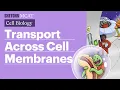 Transport Across Cell Membranes Full Lesson Sketchy MCAT