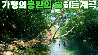 [수심 3.2m] 가평의 숨겨진 보물! 이색적인 분위기 몽환의 숲 논남기계곡 썸네일