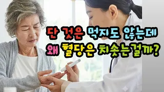 단 것은 먹지도 않는데 왜 혈당이 치솟는걸까? 다른 이유가 있었다 - 원더풀 인생후반전