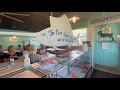 Blue Dog Bar Grill