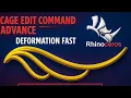 Cage Edit Command Advanced in Rhino Fast Deformation Techniques Rhinoceros CAD Tutorial