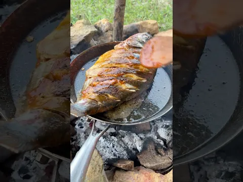 Fresh fish, flowing water, and a peaceful campsite.🏕️🐟✨