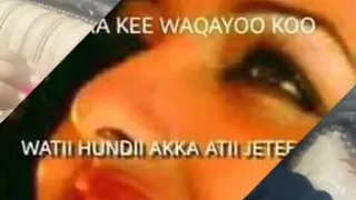 Sirba Midhaga Me Xoqo 