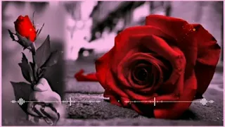 اجمل موسيقى كرديه حزينه يبحث عنها الجميع    دندنها