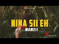 Download Lagu NINA SII EH |WAMEII |2024 PNG MUSIC 🎶 🇵🇬