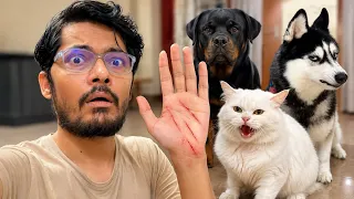 Coco Attacked on Me | Dog can talk | Review reloaded 