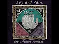 Joy And Pain (Original LP Instrumental)