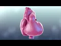 Why Do You Get Heart Palpitations After Eating? – Dr.Berg