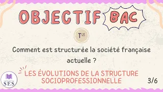 [BAC] Cours structure sociale - Les évolutions de la structure socioprofessionnelle