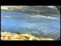 How Do Tides Work