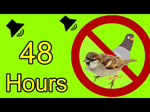 Download MP3 Anti Birds Repellent Sound - calls of birds of prey to scare off pigeons -  sparrows - seagull