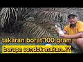 Lagu borat 100 gram itu berapa sendok makan..🤔🤔🤔