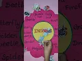 Insects TLM