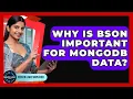 Why Is BSON Important For MongoDB Data - Server Logic Simplified