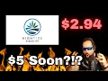 High Tide Earnings HITI Stock Update