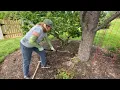 Weeding with swoe and triangle hoe